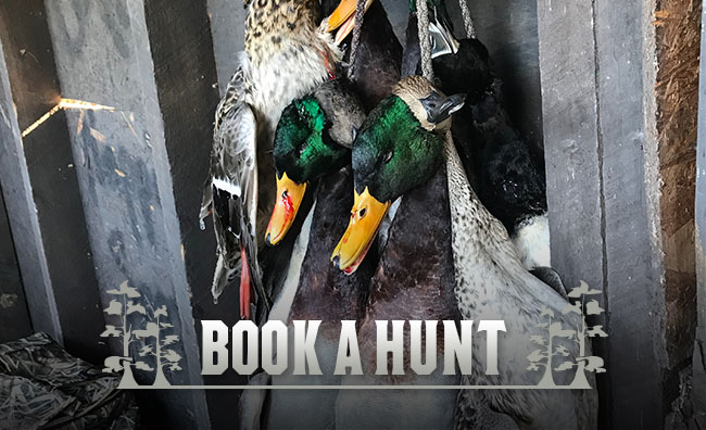 Book a Hunt with Black River Flyway Hunting Club